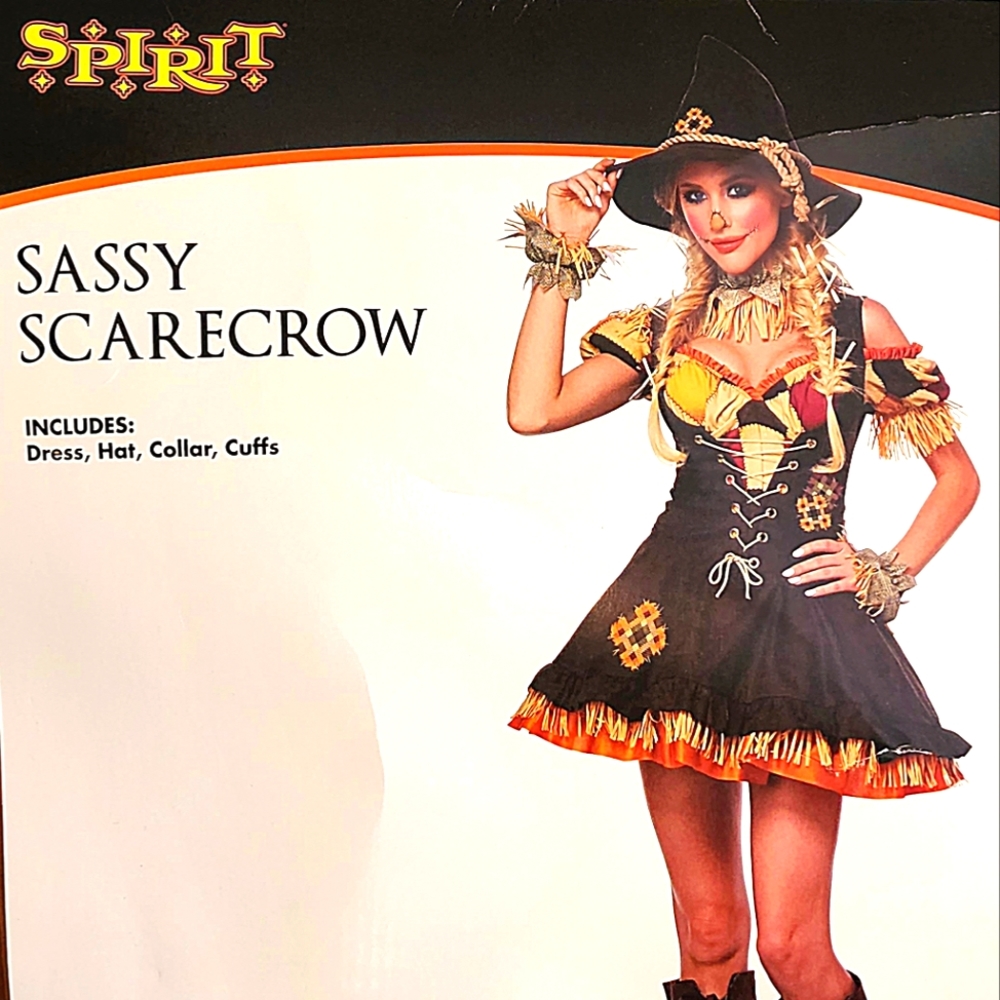 Sassy Scarecrow Costume